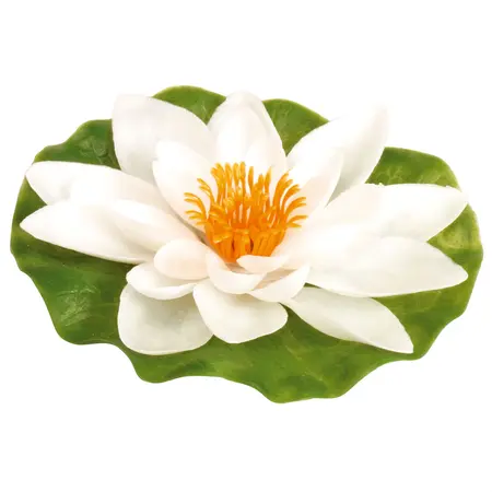 web - gardena waterlelie